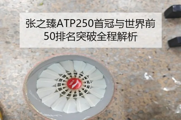 张之臻ATP250首冠与世界前50排名突破全程解析